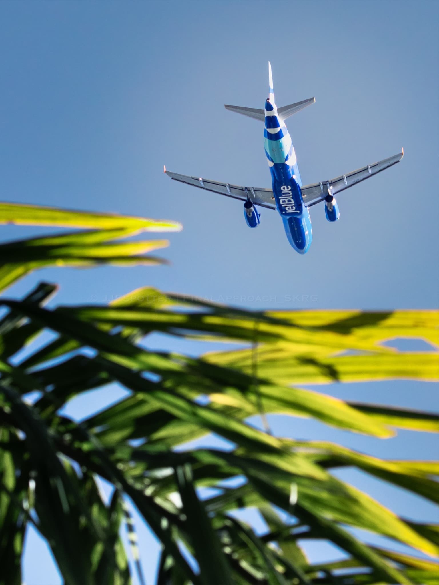 JetBlue Expands Services in Puerto Rico
